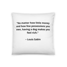 Load image into Gallery viewer, Pets Louis Sabin Pillow