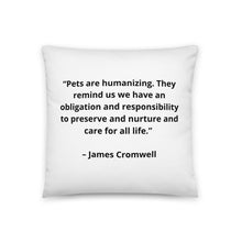 Load image into Gallery viewer, Pets James Cromwell Pillow