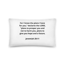 Load image into Gallery viewer, Spiritual Bible Verses Jeremiah 29:11 Pillow