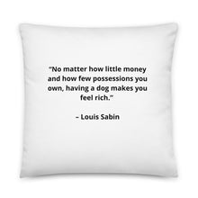 Load image into Gallery viewer, Pets Louis Sabin Pillow
