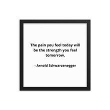 Load image into Gallery viewer, Arnold Schwarzenegger Framed Poster