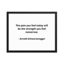 Load image into Gallery viewer, Arnold Schwarzenegger Framed Poster