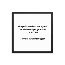 Load image into Gallery viewer, Arnold Schwarzenegger Framed Poster