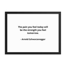 Load image into Gallery viewer, Arnold Schwarzenegger Framed Poster