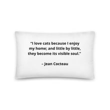 Load image into Gallery viewer, Pets Jean Cocteau Pillow
