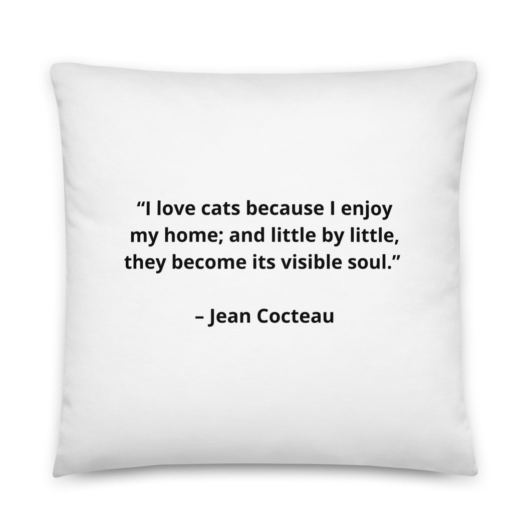 Pets Jean Cocteau Pillow