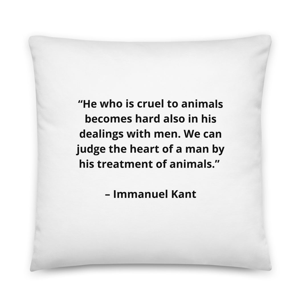 Pets Immanuel Kant Pillow