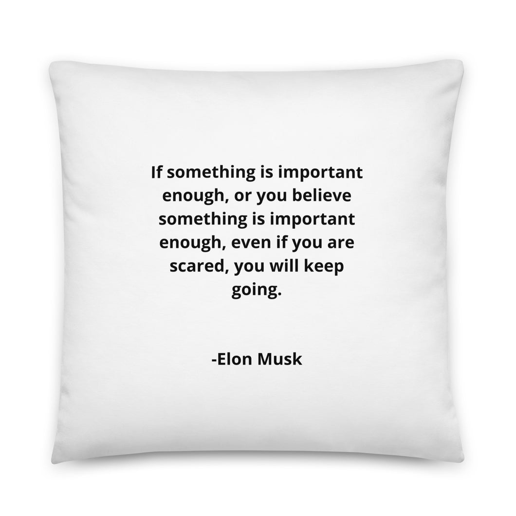 Entrepreneur Quotes Elon Musk Pillow